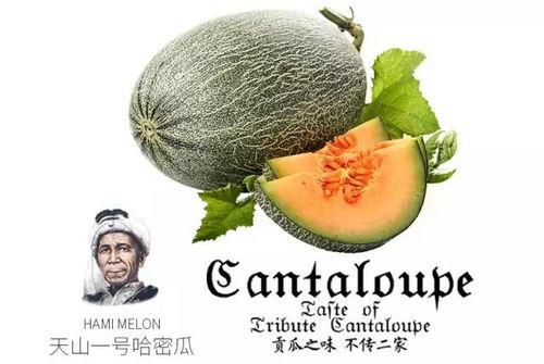 娱乐吃瓜号为什么那么恶心,为何恶臭现象屡禁不止?